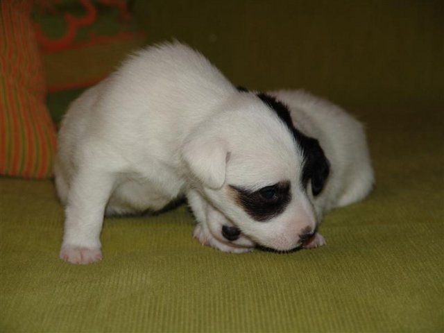 dsc01776__medium_.jpg