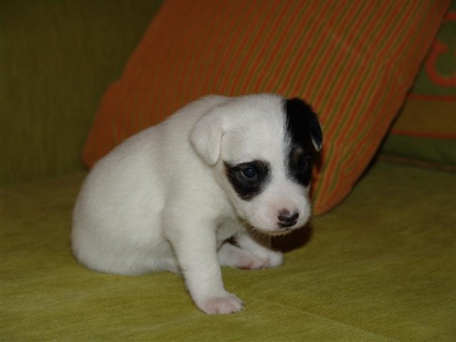 dsc01777__medium_.jpg