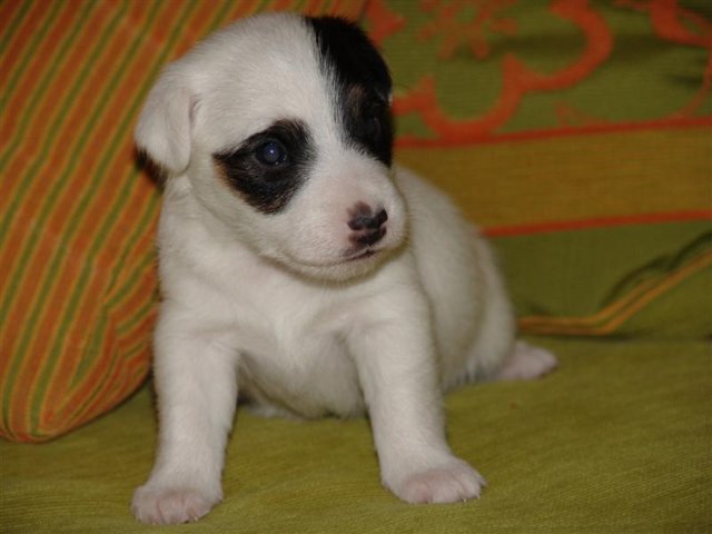 dsc01779__medium_.jpg