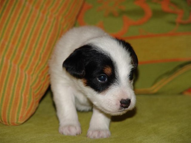 dsc01780__medium_.jpg