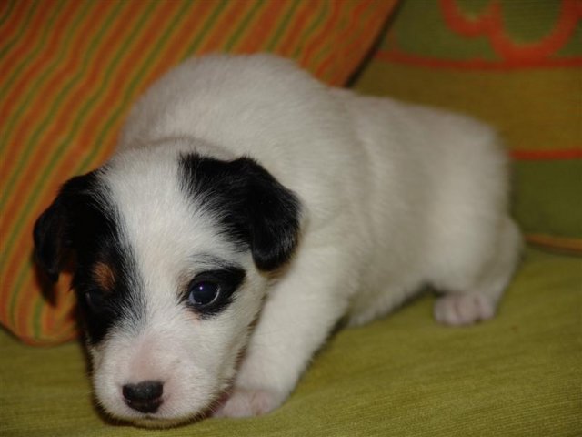 dsc01781__medium_.jpg
