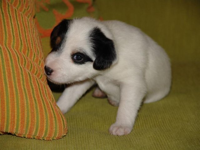 dsc01782__medium_.jpg
