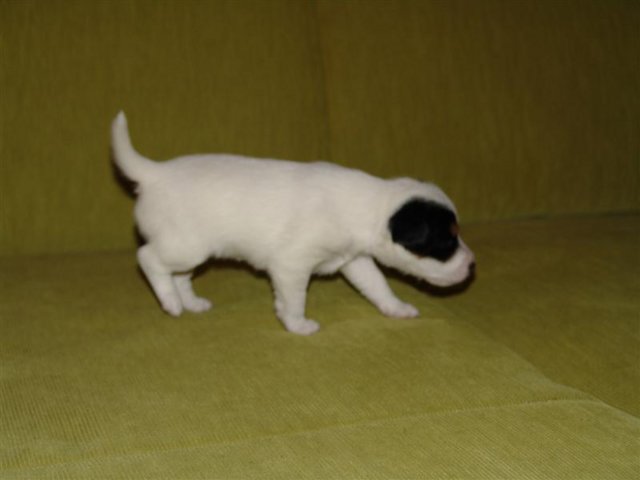 dsc01783__medium_.jpg