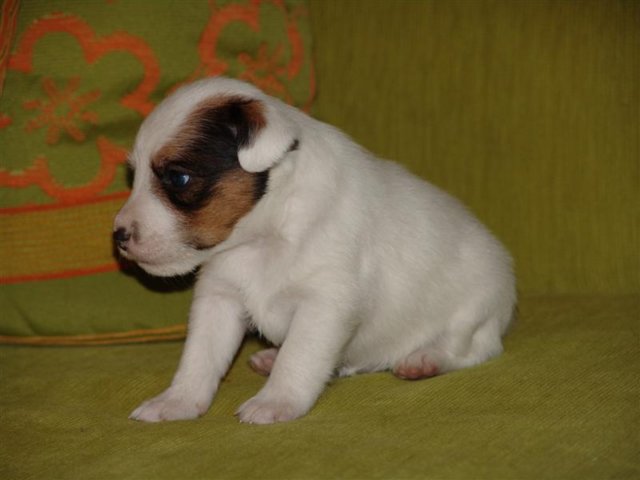 dsc01790__medium_.jpg