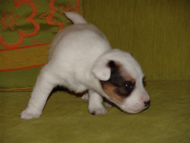 dsc01791__medium_.jpg