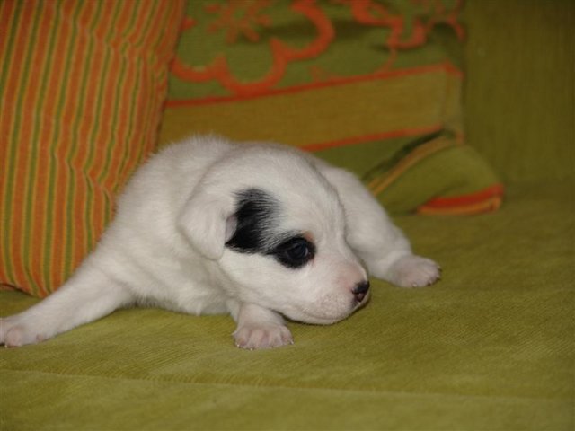 dsc01794__medium_.jpg