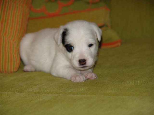 dsc01795__medium_.jpg