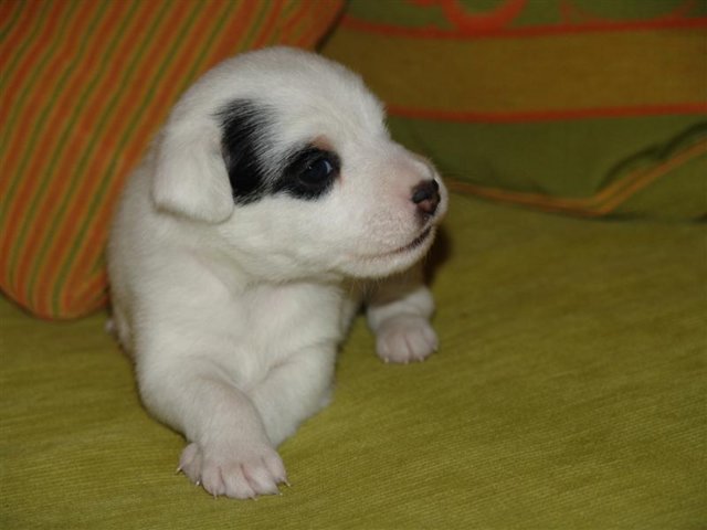 dsc01796__medium_.jpg