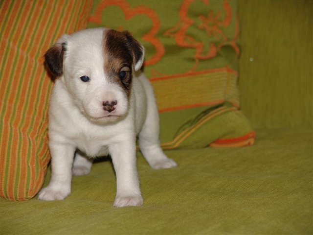 dsc01801__medium_.jpg