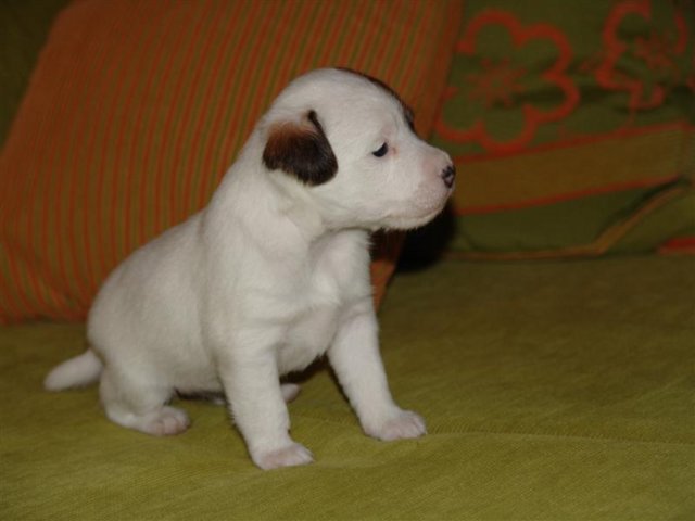 dsc01804__medium_.jpg