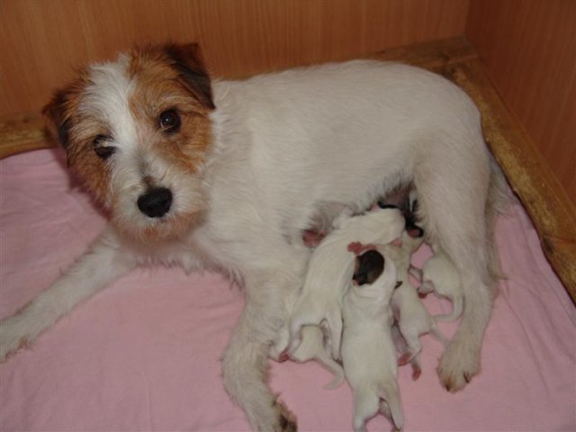 dsc01695__medium_.jpg