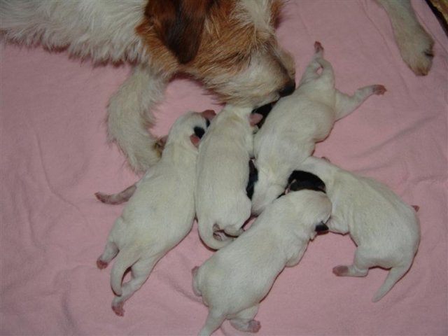 dsc01698__medium_.jpg