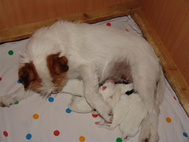dsc01703__medium_.jpg