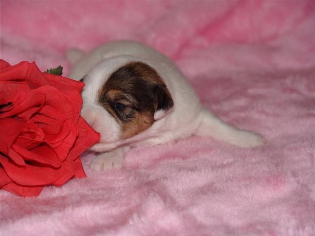 dsc01765__medium_.jpg